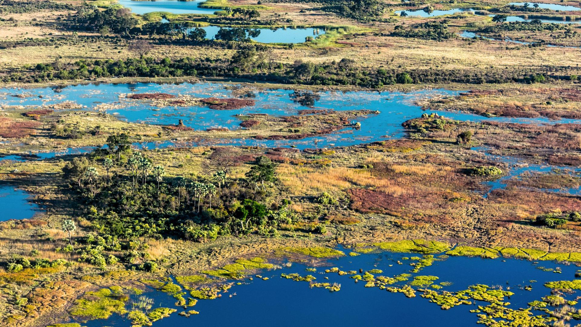3-Day Okavango Delta Wild Camping Safari – Mokoro, Bush Walk & Game Drive - Budget Camping, fully-catered, group joining