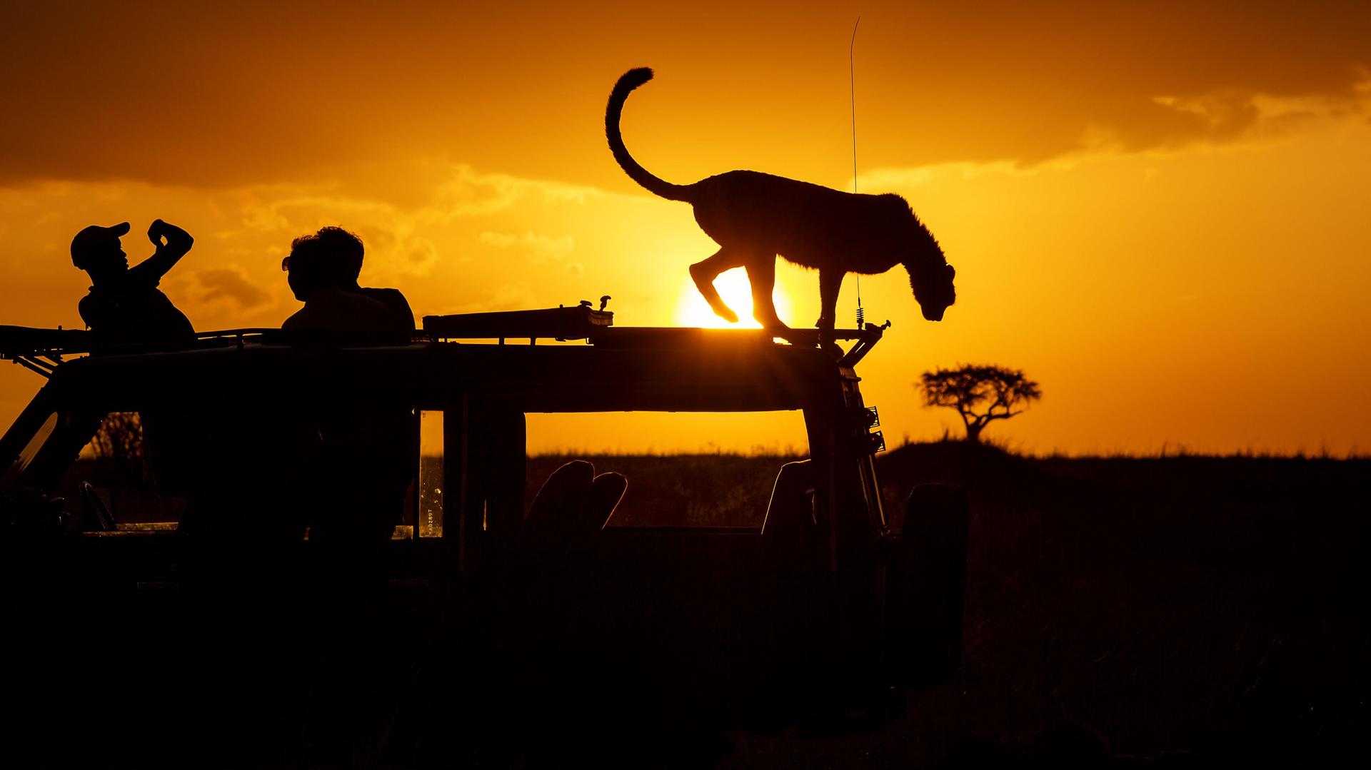 4-Day Deep in the Kalahari – A Wild Camping Adventure - Sharing Safari